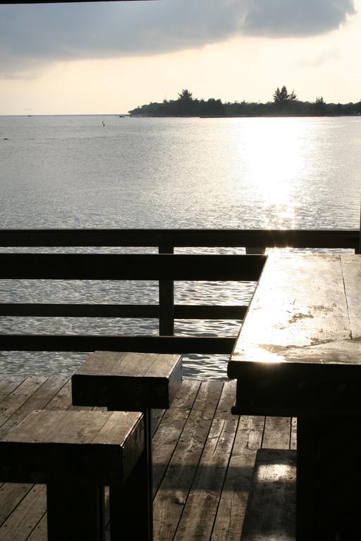 Coral View Beach Resort Utila Bagian luar foto