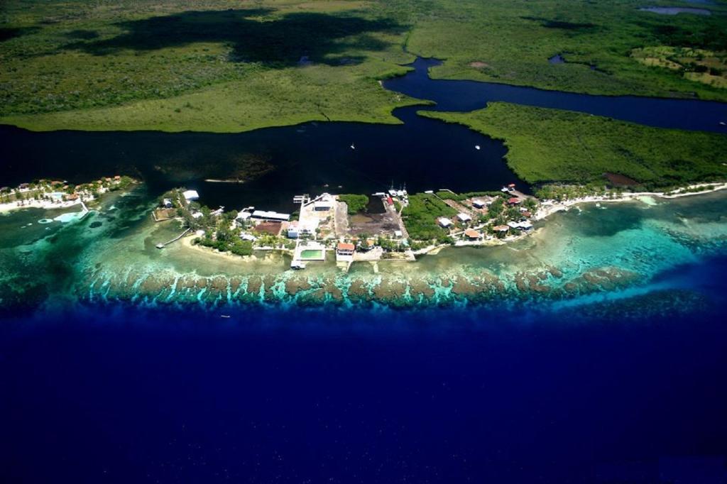 Coral View Beach Resort Utila Bagian luar foto