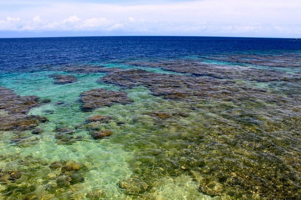 Coral View Beach Resort Utila Bagian luar foto